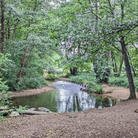 Maison Au Calme, 6 Voyageurs Riorges Bagian luar foto