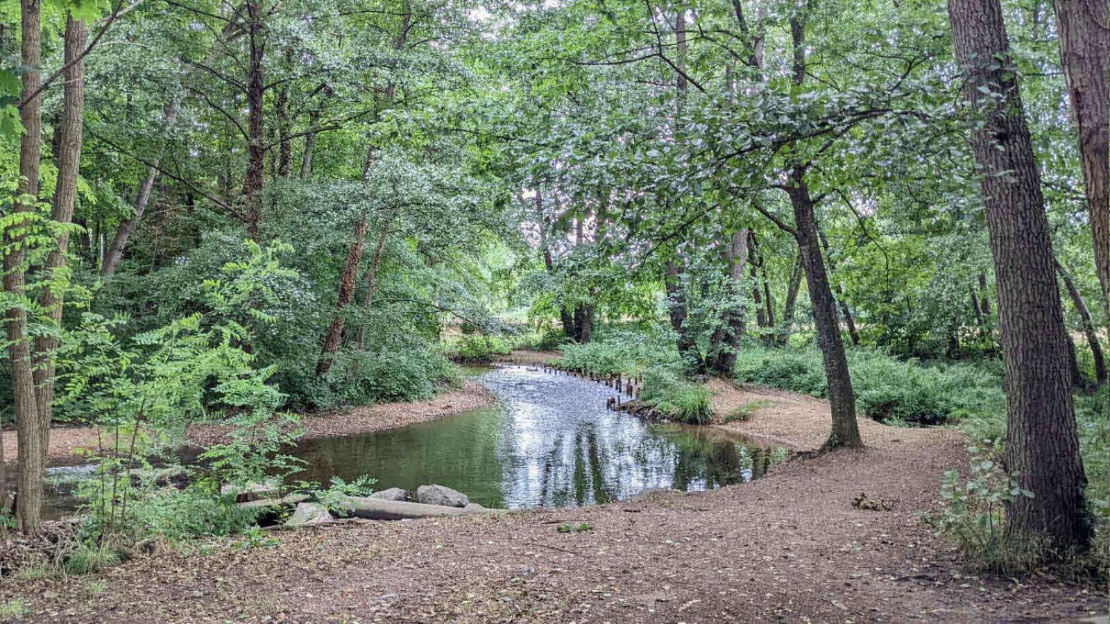 Maison Au Calme, 6 Voyageurs Riorges Bagian luar foto
